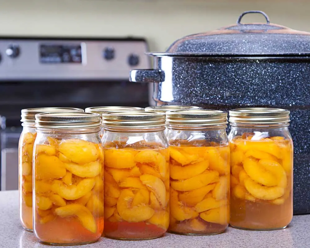 Canning Lid Options for Different Needs