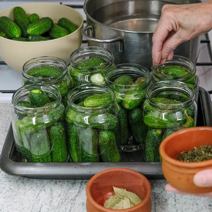 Mrs. Wages Pickling Mixes